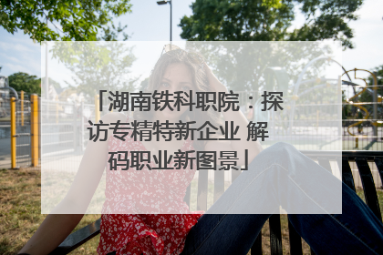 湖南铁科职院：探访专精特新企业 解码职业新图景